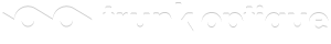 trunk optique